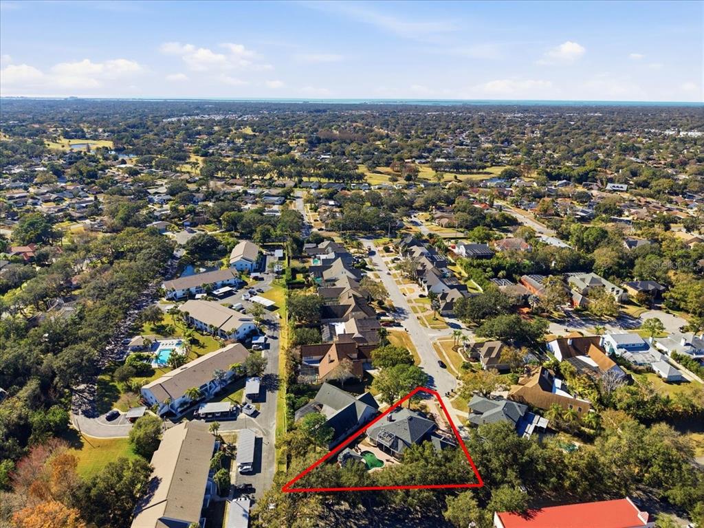 3049 Geiger Court Clearwater, FL 33761 - Photo 82 of 90