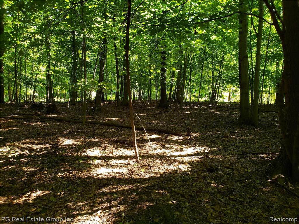 0 Charitoo Ridge Leonard, MI 48367 - Photo 23 of 34