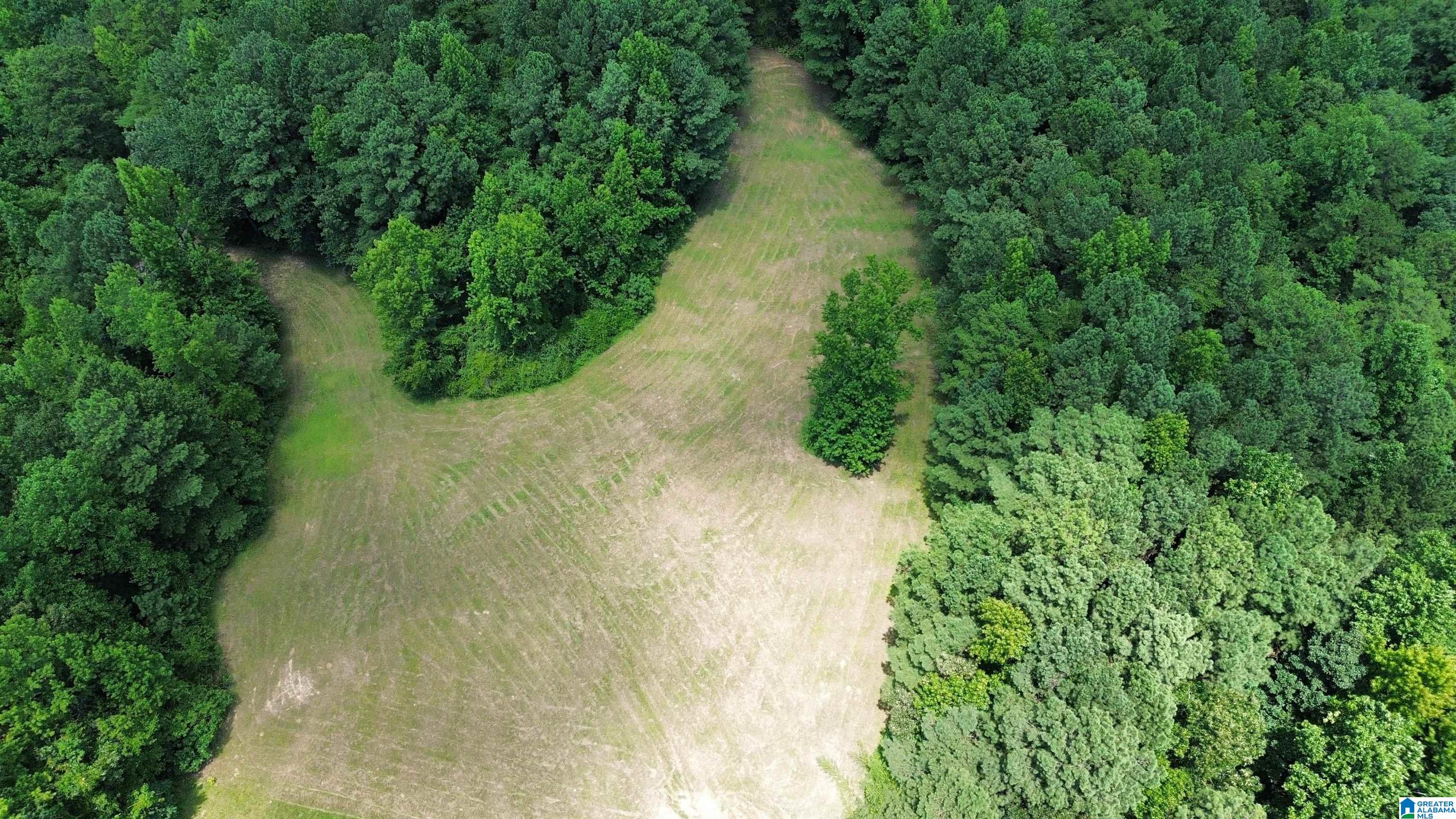 0 Hollow Creek Road, Unit 13 45 Hayden, AL 35079 - Photo 5 of 8
