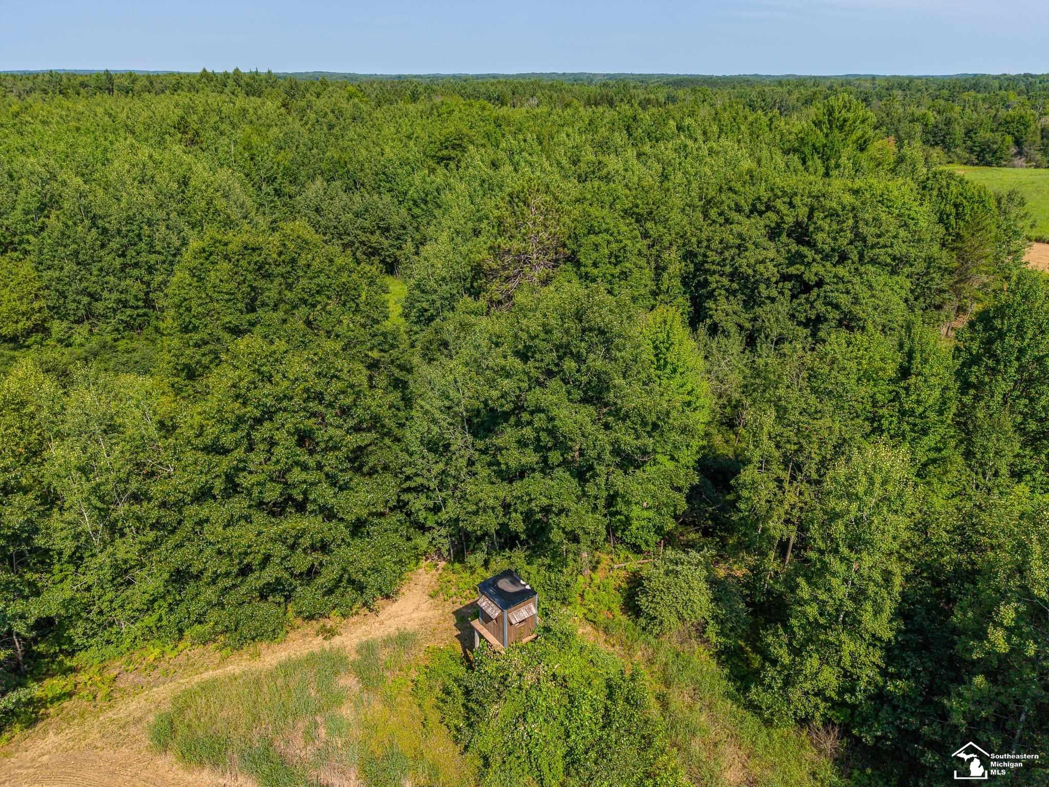 3850 Clarwin Road Gladwin, MI 48624 - Photo 27 of 46 Gallery Image 27