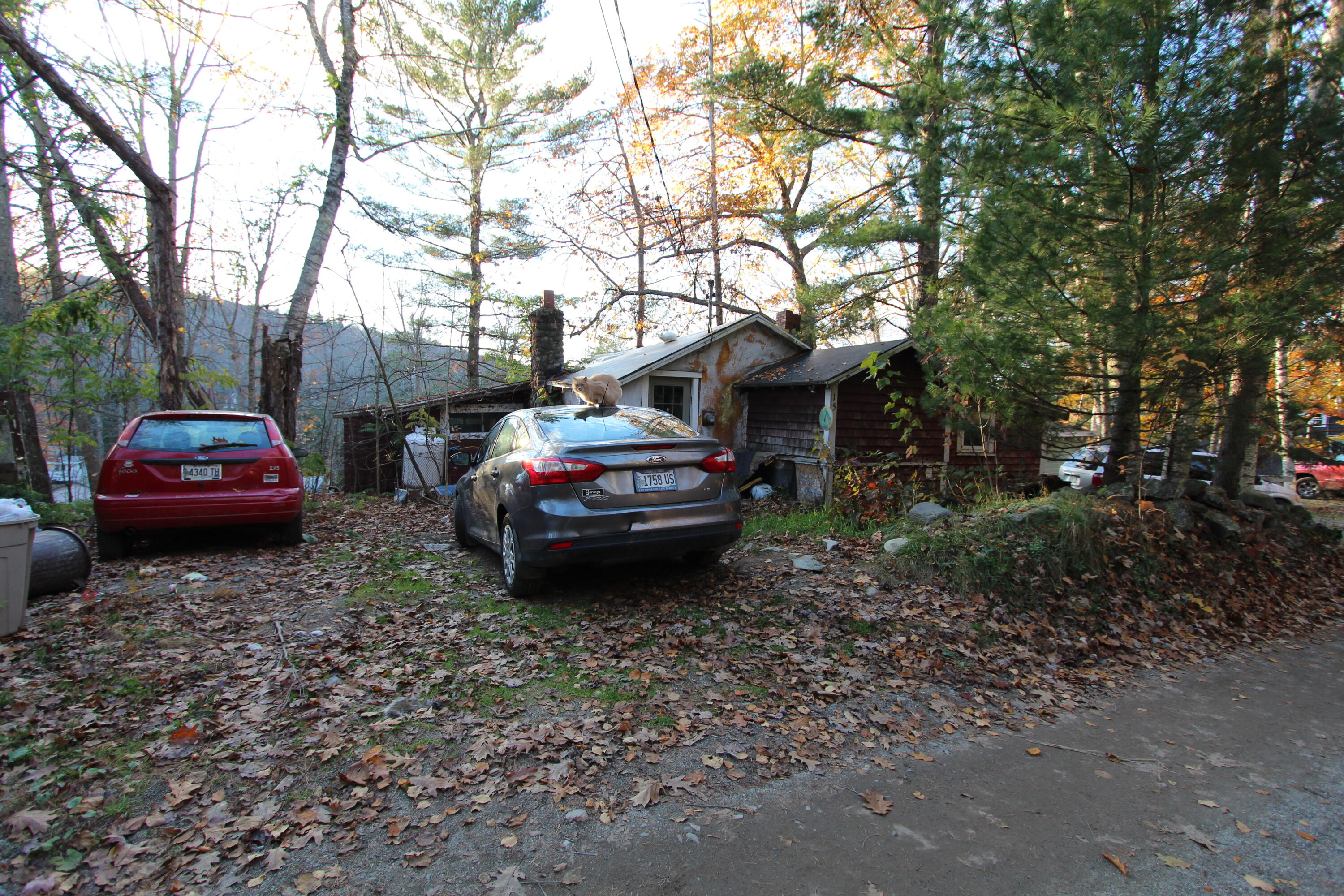 159 Pine Trail Dedham, ME 04429 - Photo 1 of 6 IMG_2865