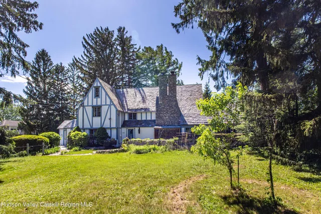 a view of a big yard with plants and large trees