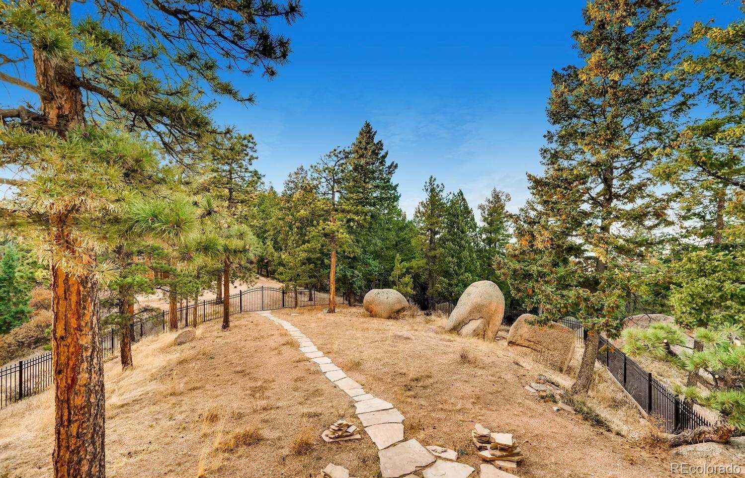 1150 North Madge Gulch Road Sedalia, CO 80135 - Photo 2 of 49 a view of a yard with trees