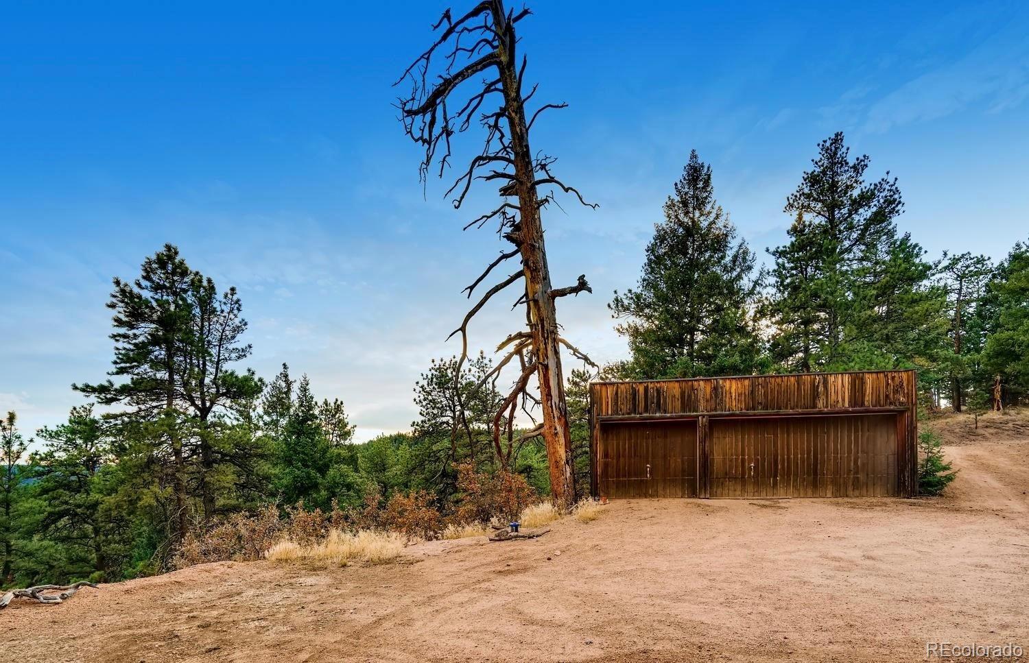 1150 North Madge Gulch Road Sedalia, CO 80135 - Photo 38 of 49