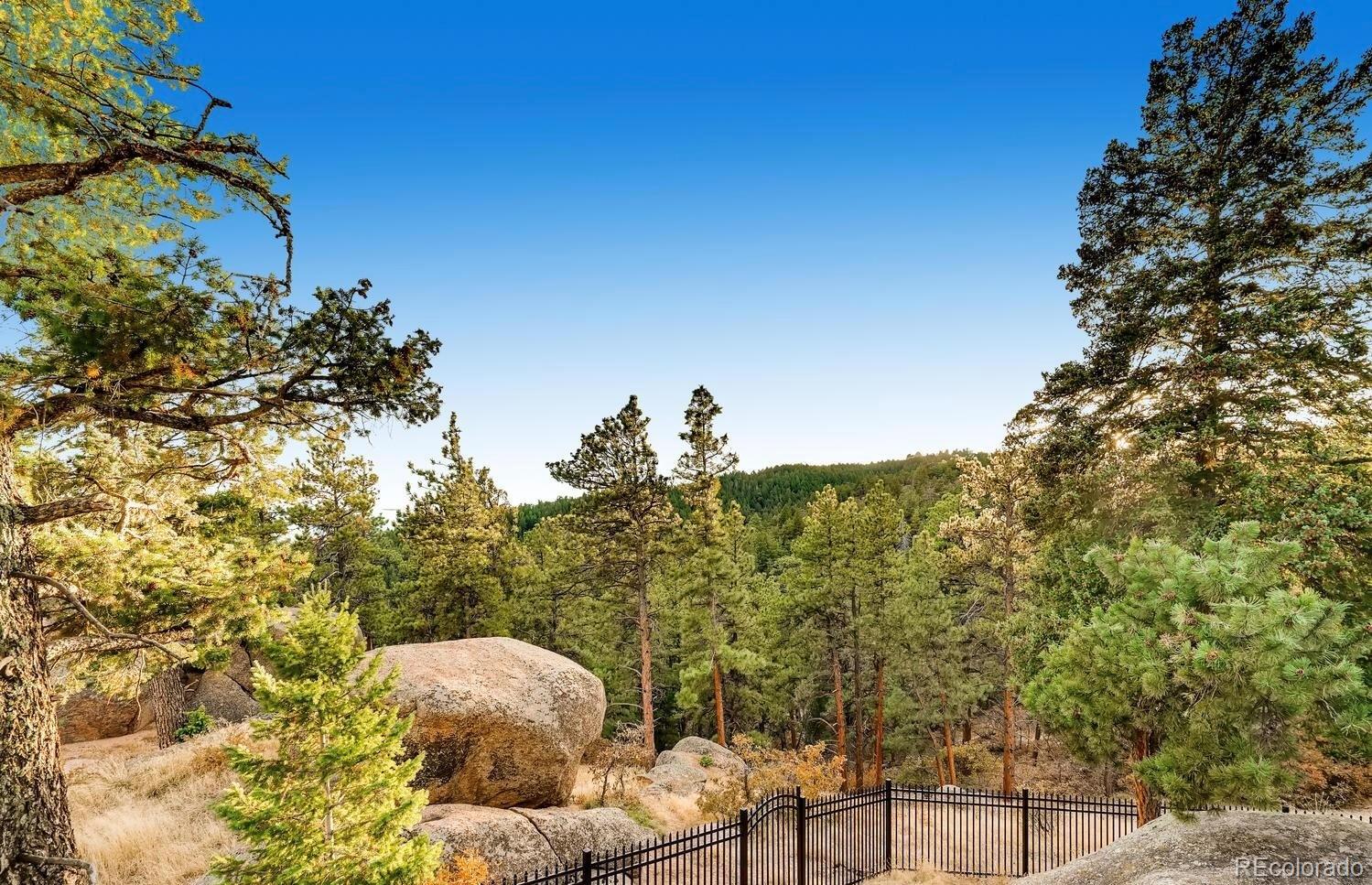 1150 North Madge Gulch Road Sedalia, CO 80135 - Photo 6 of 49 a backyard of a house with table and chairs