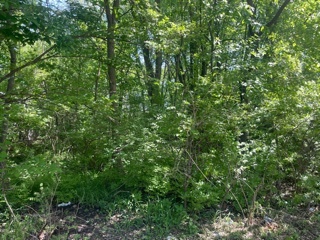 0 North Pond Street Braidwood, IL 60408 - Photo 2 of 5 a view of a lush green forest