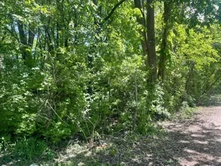 $19,900 | 0 North Pond Street, Braidwood, IL 60408