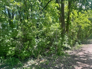 0 North Pond Street Braidwood, IL 60408 - Photo 3 of 5 a view of a lush green forest