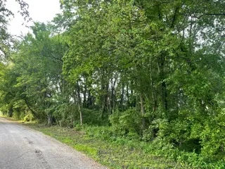 $19,900 | 0 North Pond Street, Braidwood, IL 60408