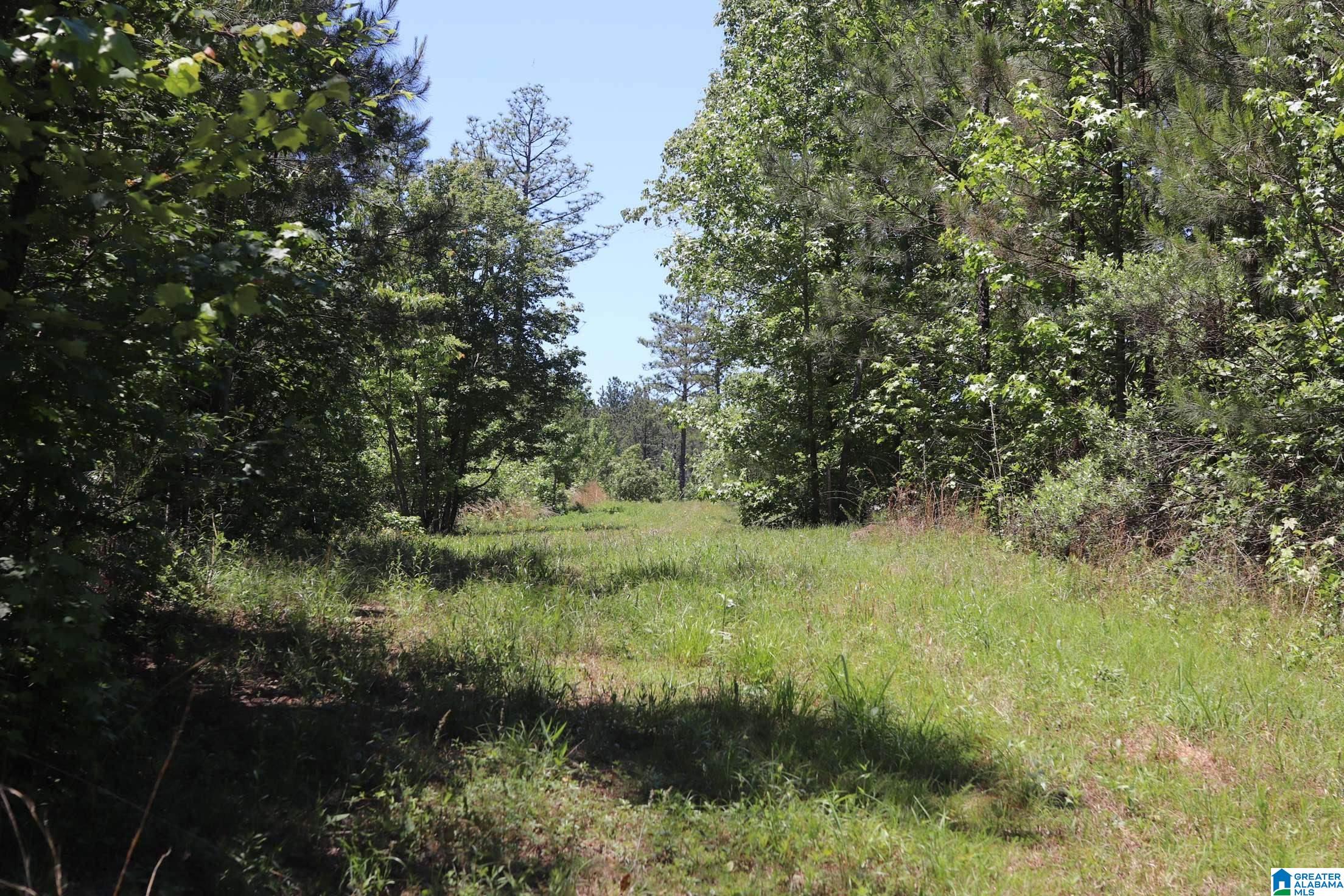 2930 Shocco Springs Road Talladega, AL 35160 - Photo 29 of 93