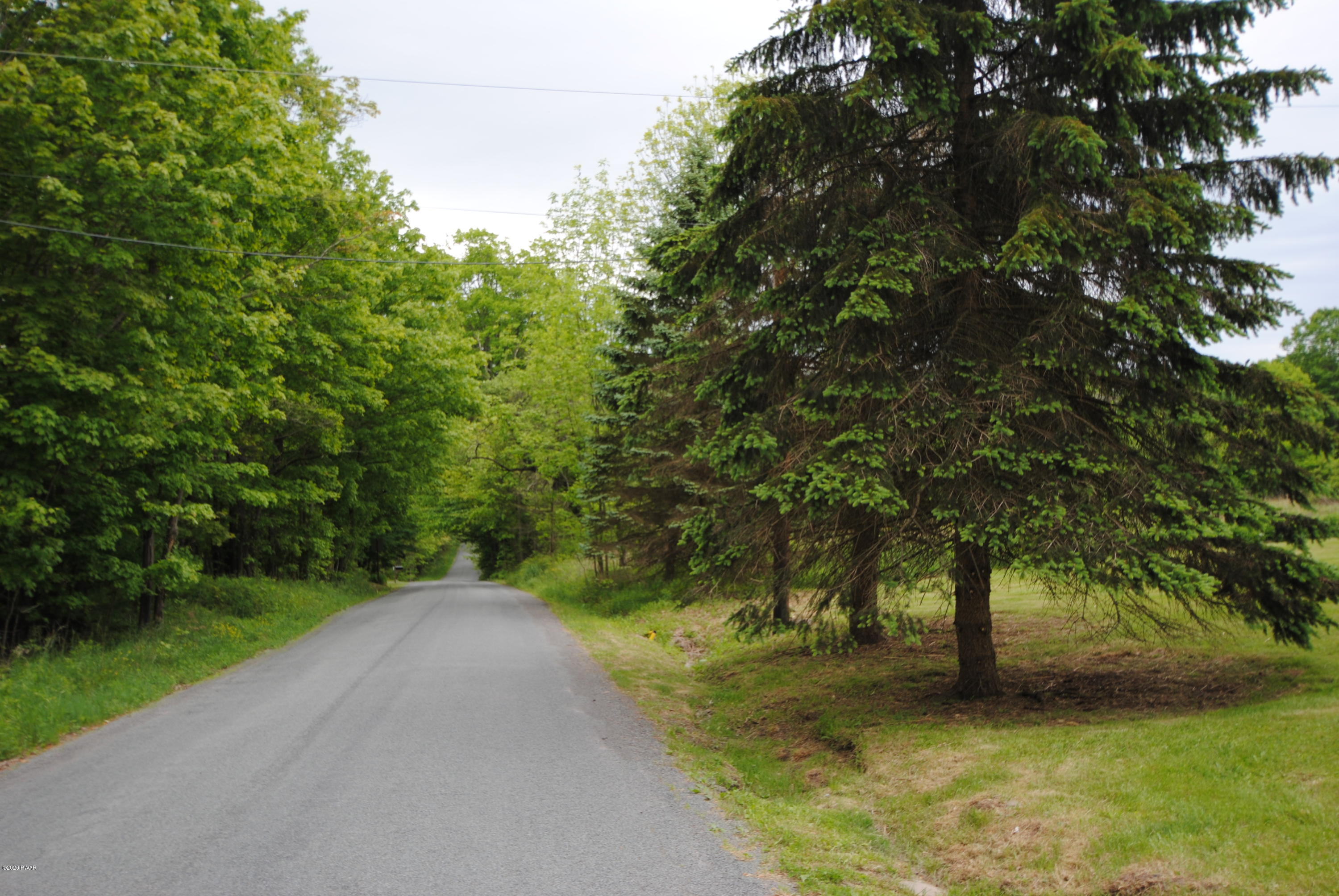 313 Old Racht Road Waymart, PA 18472 - Photo 24 of 39 a view of a yard with trees
