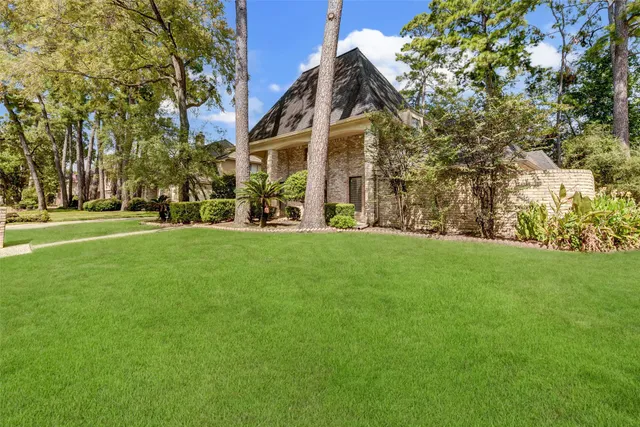 a view of a park with large trees
