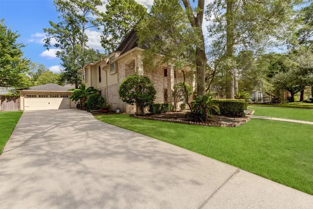 a view of a yard with plants and trees