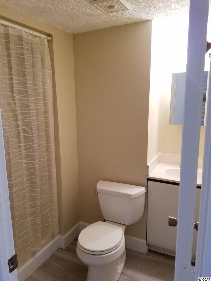 300 Deer Creek Road, Unit A Surfside Beach, SC 29575 - Photo 18 of 21 Gallery Image 18