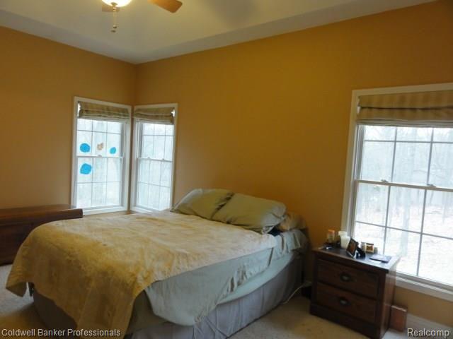 9387 Spicer Road Brighton, MI 48116 - Photo 14 of 41 1-24-2018 Spicer Rd 018.JPG