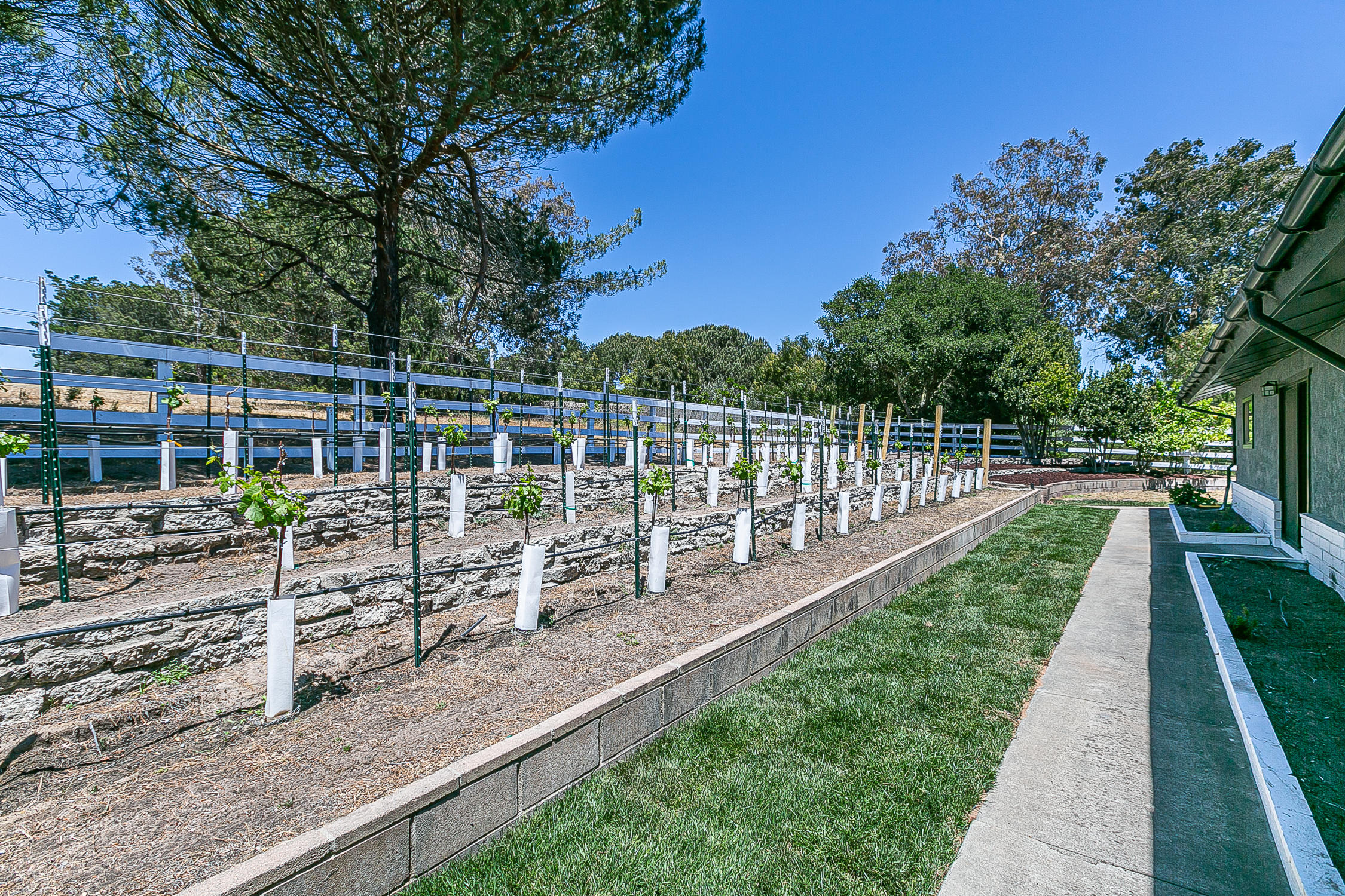 5375 Campbell Road Lompoc, CA 93436 - Photo 28 of 48 a view of a yard with large trees