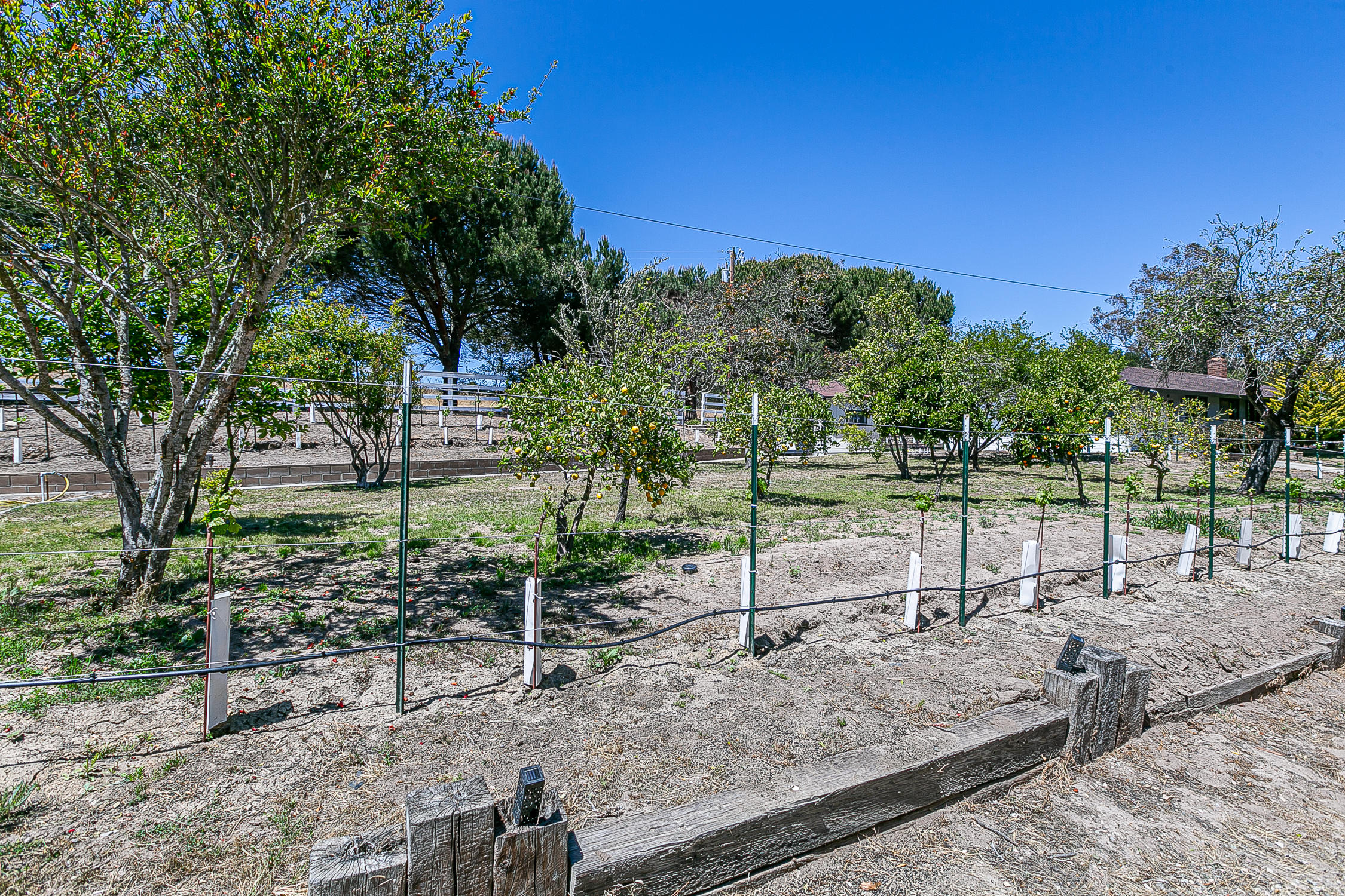 5375 Campbell Road Lompoc, CA 93436 - Photo 47 of 48 a view of a park