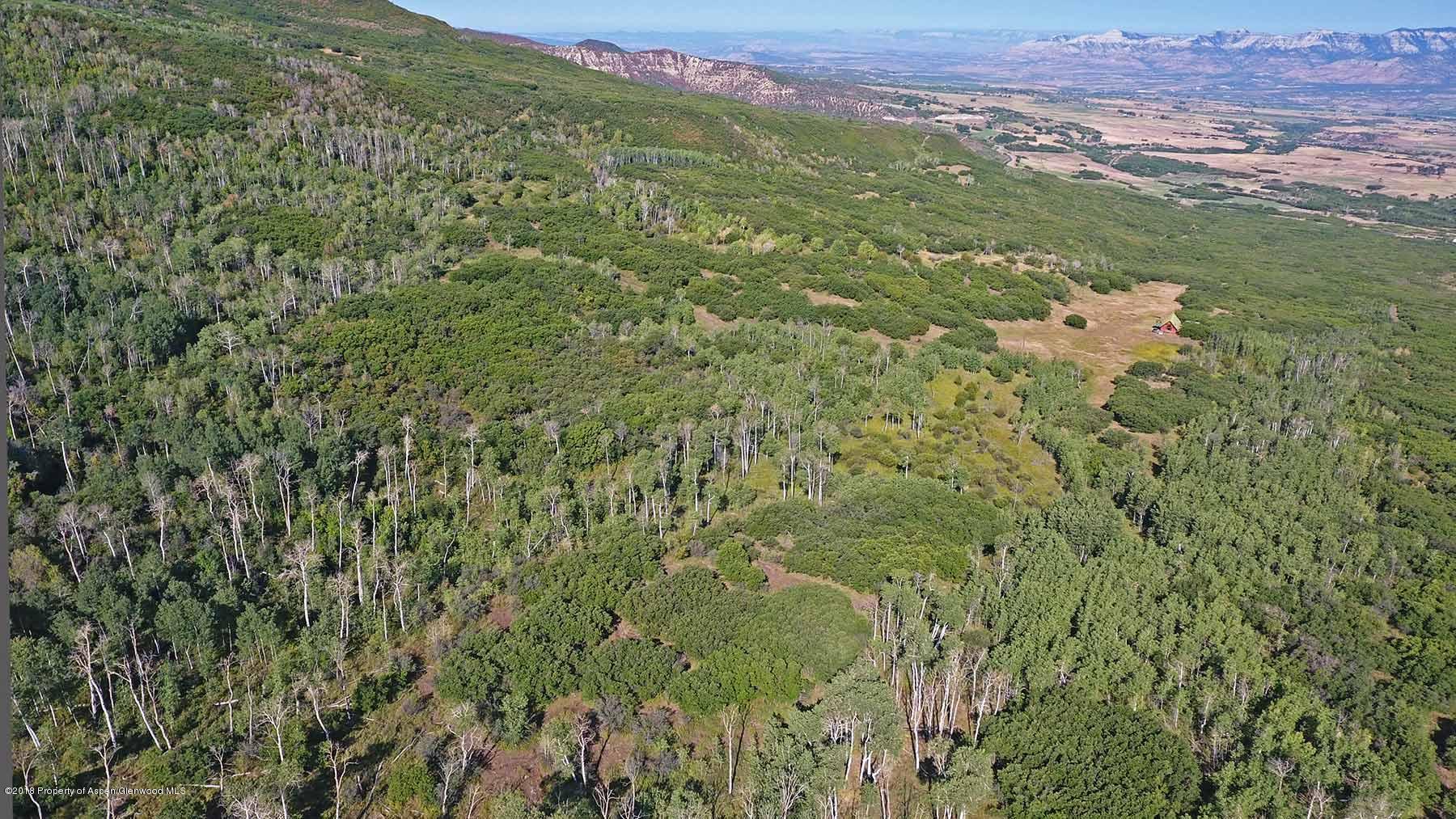 61769 Le Road Collbran, CO 81624 - Photo 13 of 43 grove-creek-055