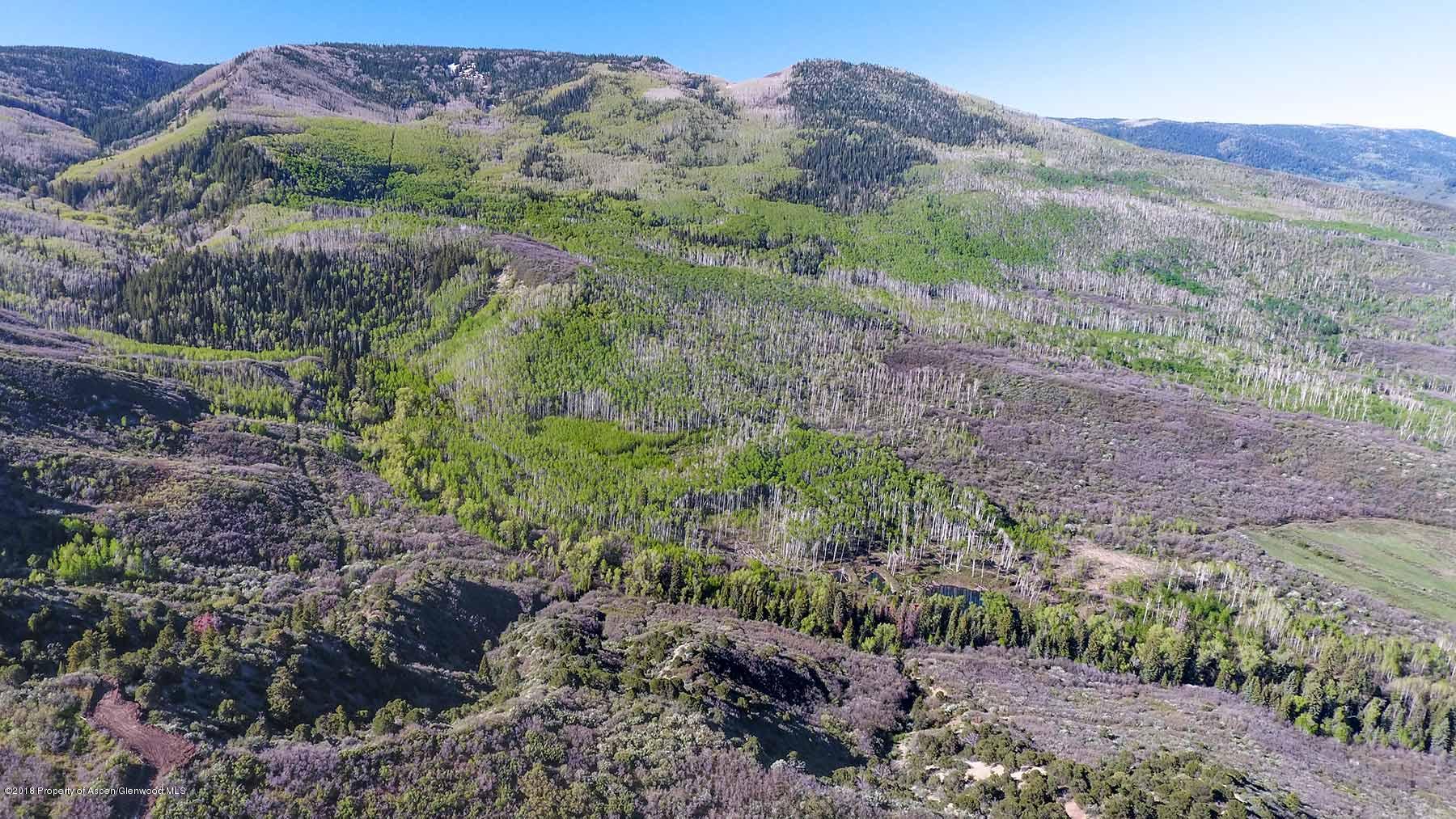 61769 Le Road Collbran, CO 81624 - Photo 28 of 43 grove-creek-020
