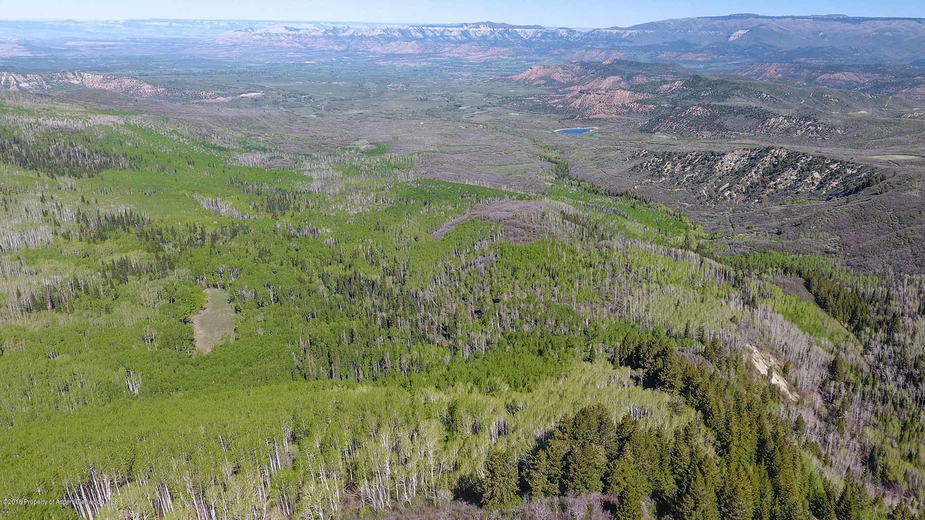 61769 Le Road Collbran, CO 81624 - Photo 30 of 43 grove-creek-024