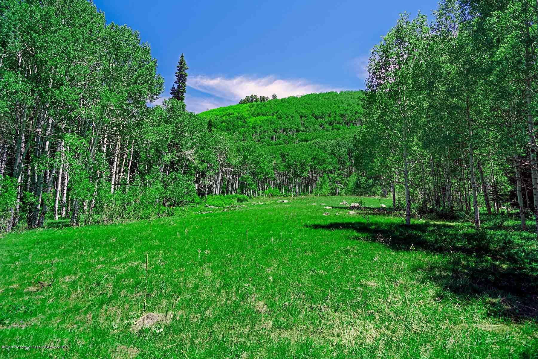 61769 Le Road Collbran, CO 81624 - Photo 31 of 43 grove-creek-042