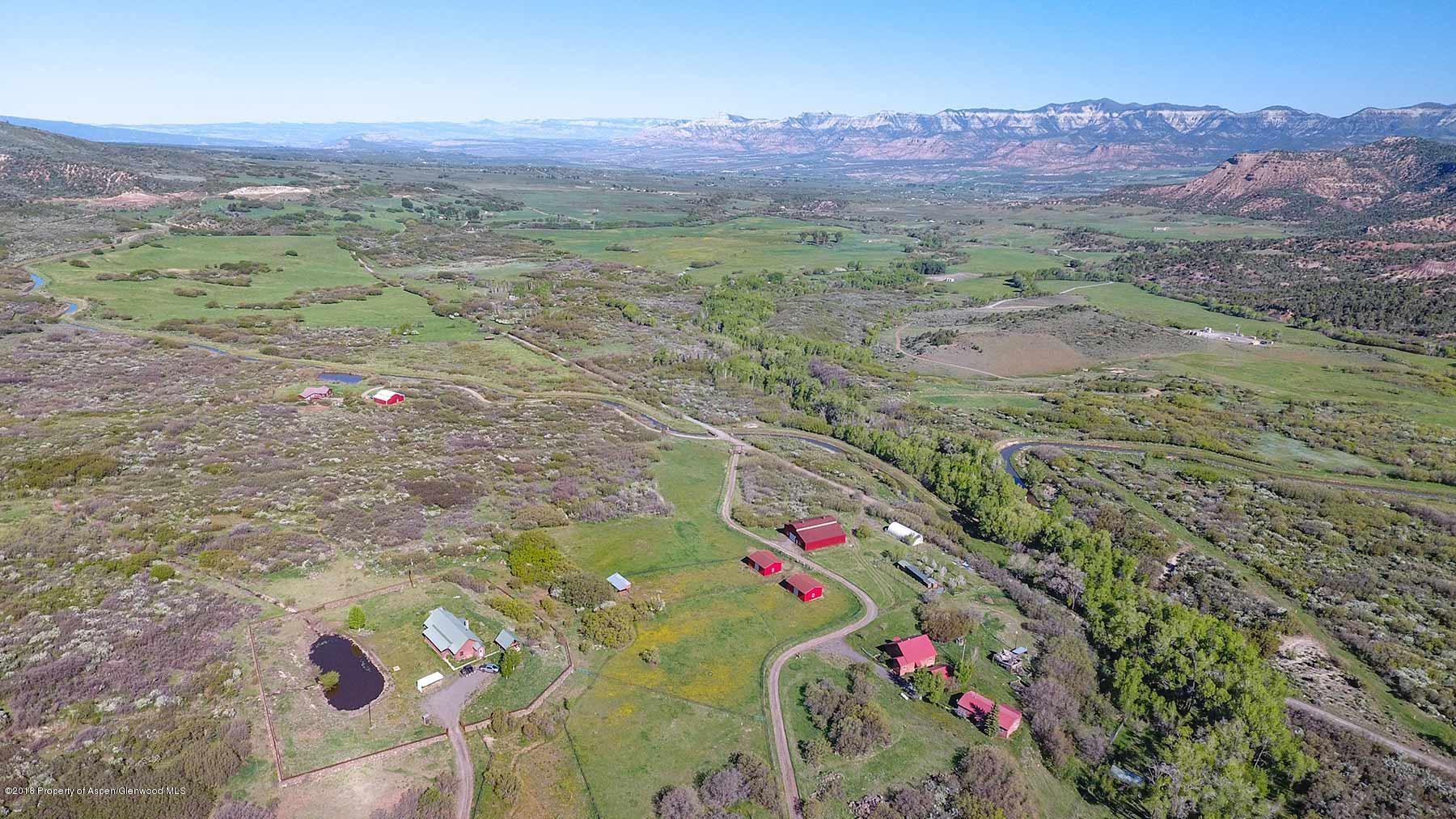 61769 Le Road Collbran, CO 81624 - Photo 35 of 43 grove-creek-022