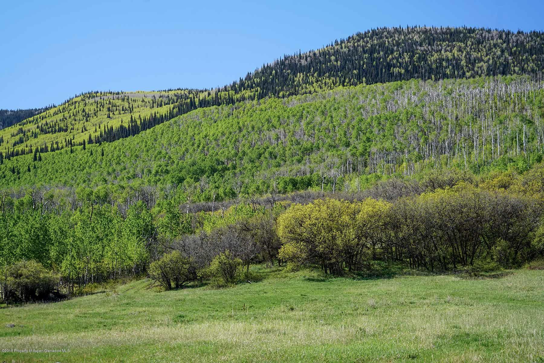61769 Le Road Collbran, CO 81624 - Photo 42 of 43 grove-creek-029