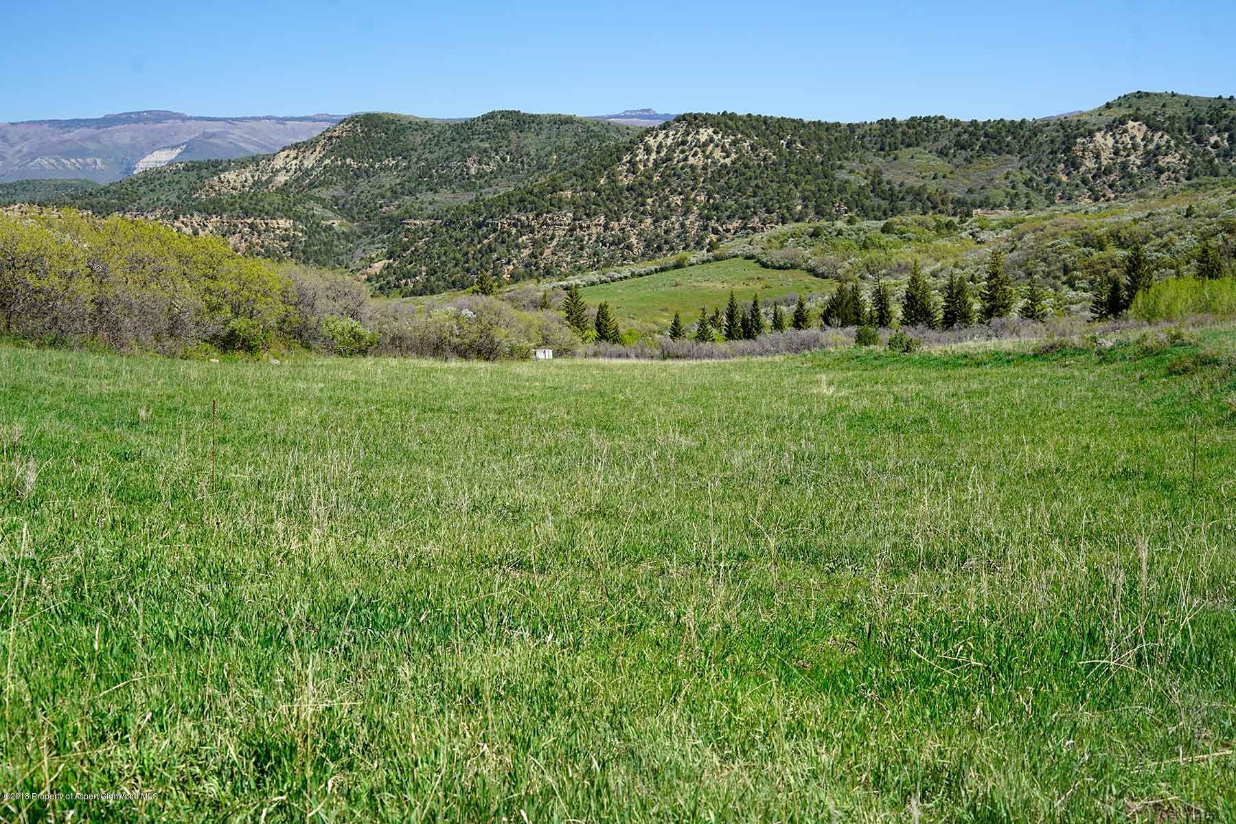 61769 Le Road Collbran, CO 81624 - Photo 43 of 43 grove-creek-034
