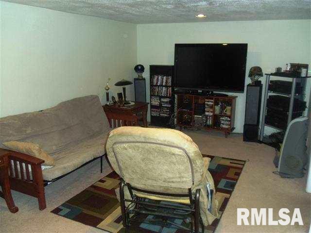 7581 Wolf Road Colona, IL 61241 - Photo 24 of 24 Gallery Image 24