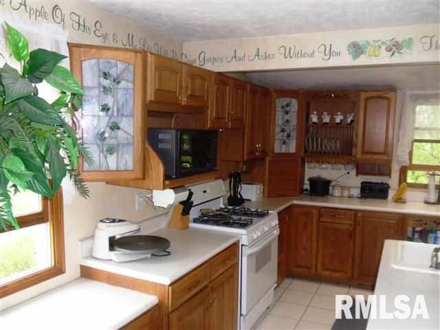 7581 Wolf Road Colona, IL 61241 - Photo 9 of 24 Gallery Image 9