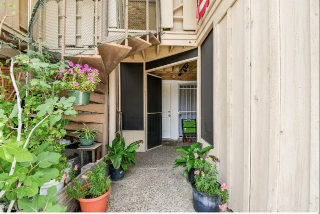 a potted plant sitting in front of a house