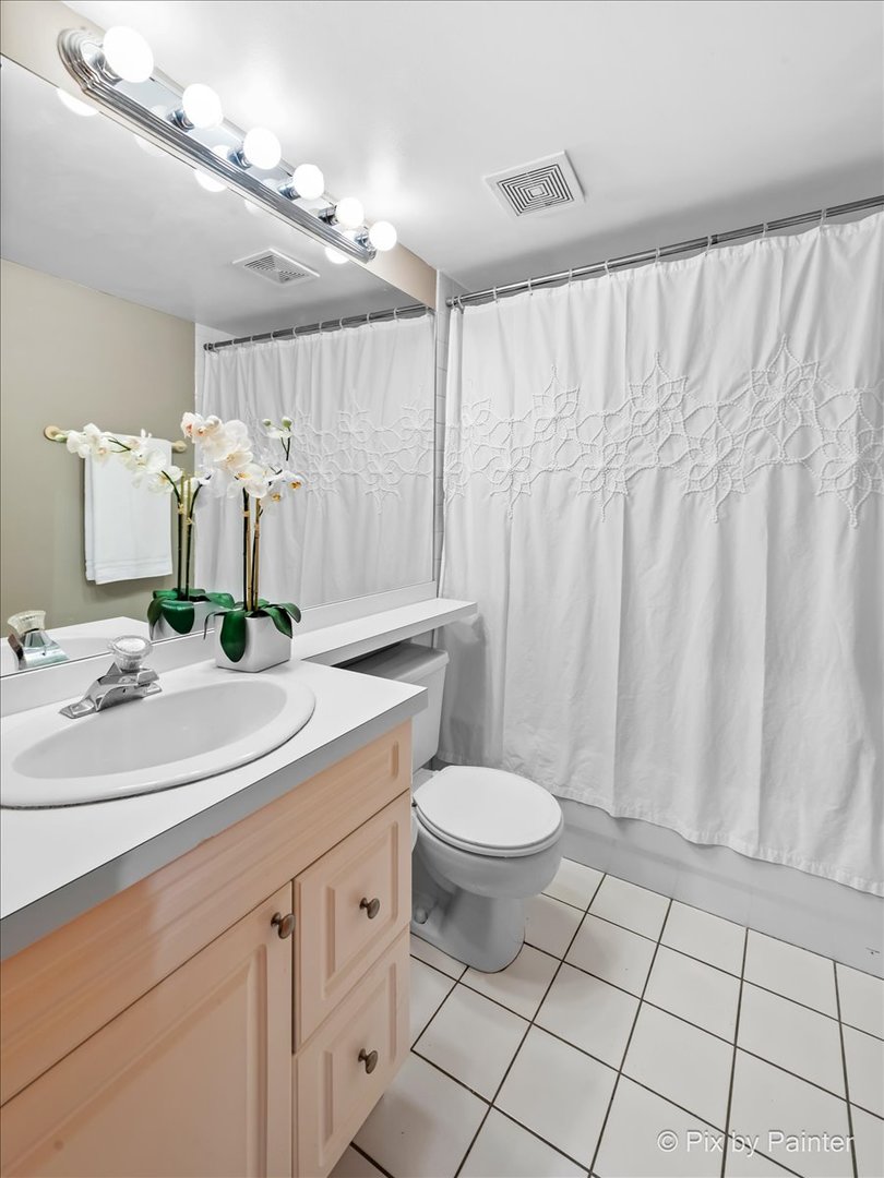 1601 South Indiana Avenue, Unit 306 Chicago, IL 60616 - Photo 16 of 25 a bathroom with a sink a toilet and mirror