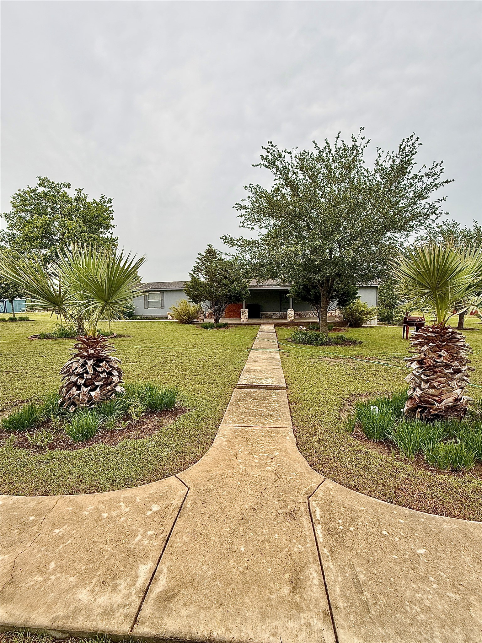 3075 FM 2001 Buda, TX 78610 - Photo 2 of 26 A graceful concrete pathway leads to a charming residence, framed by mature trees and verdant landscaping.