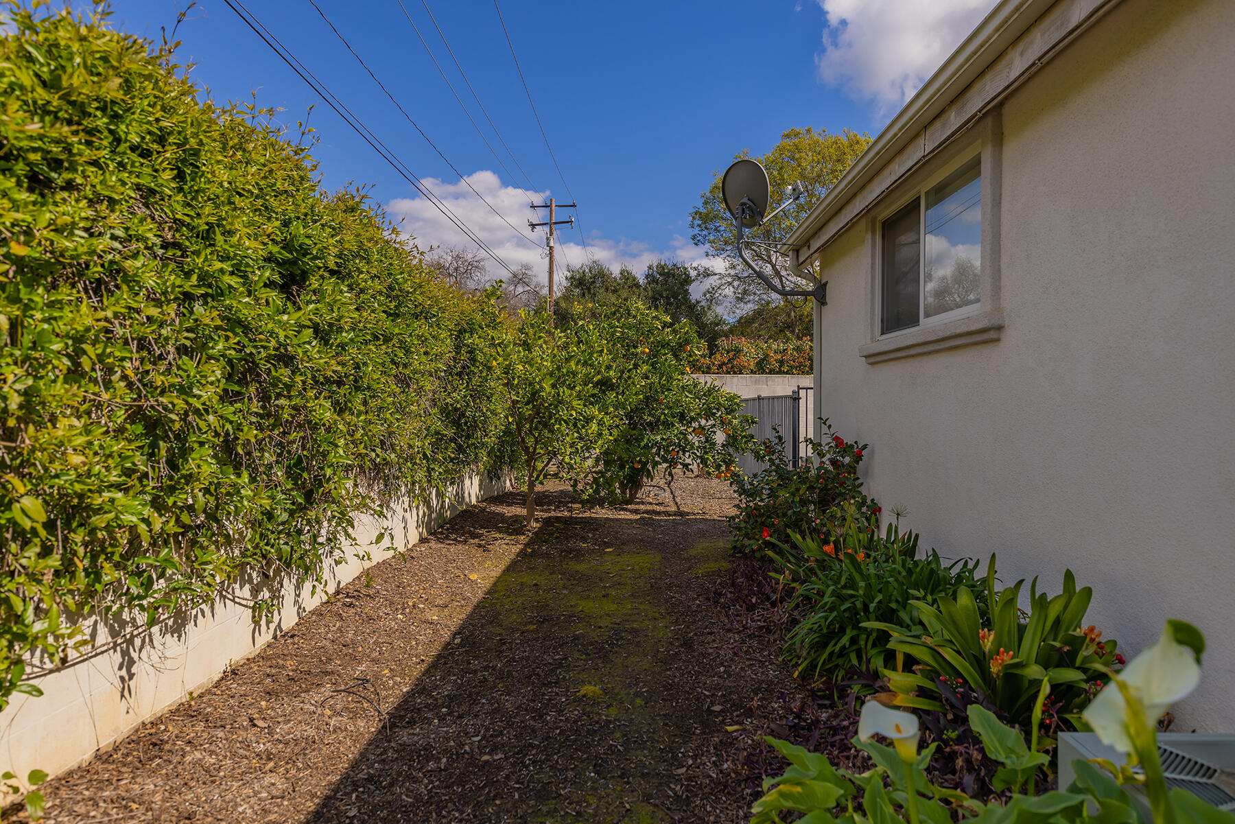 630 Los Alamos Drive Ojai, CA 93023 - Photo 19 of 24 630 Los Alamos_19