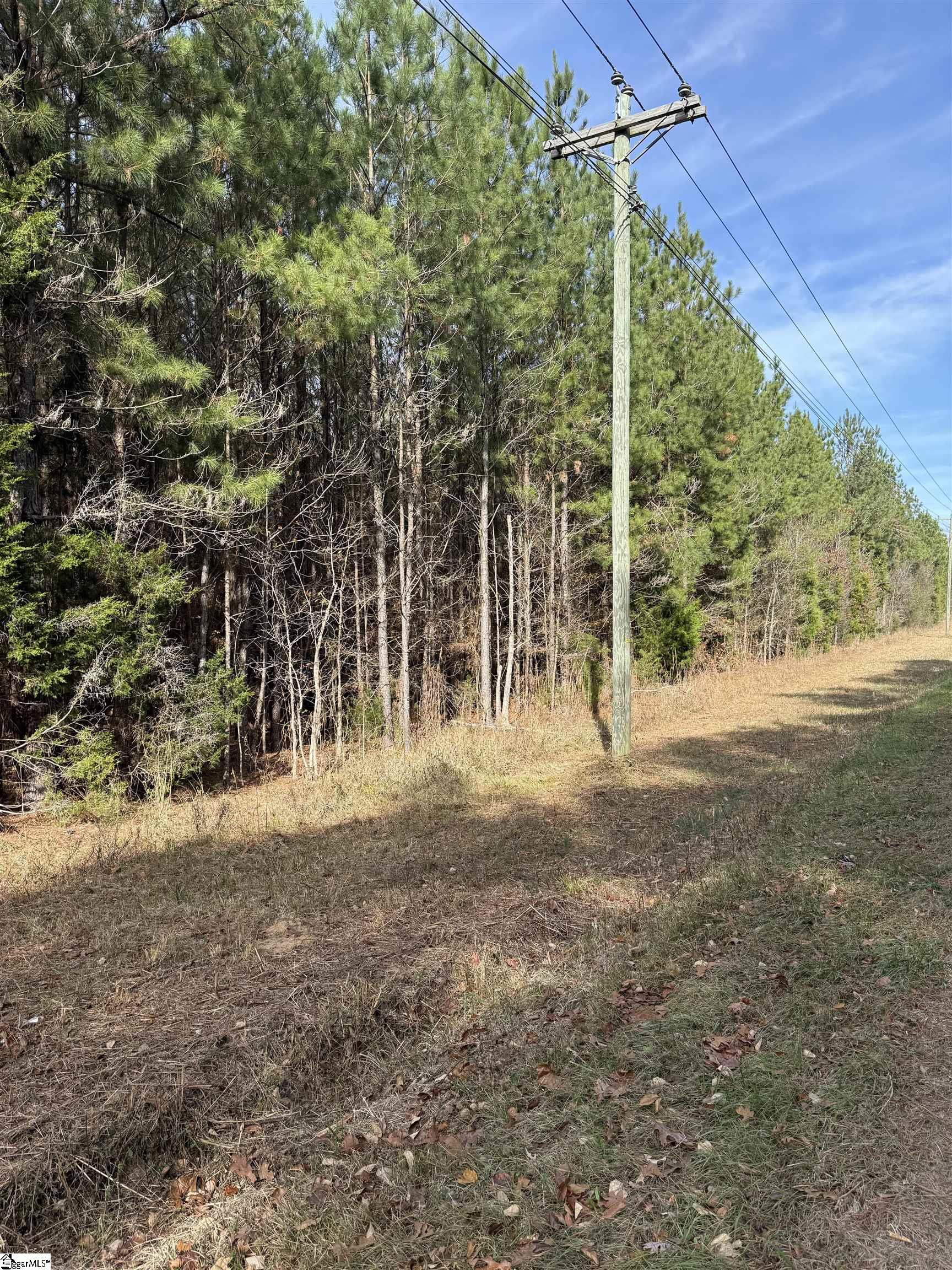 6776 Columbia Highway Saluda, SC 29138 - Photo 2 of 7