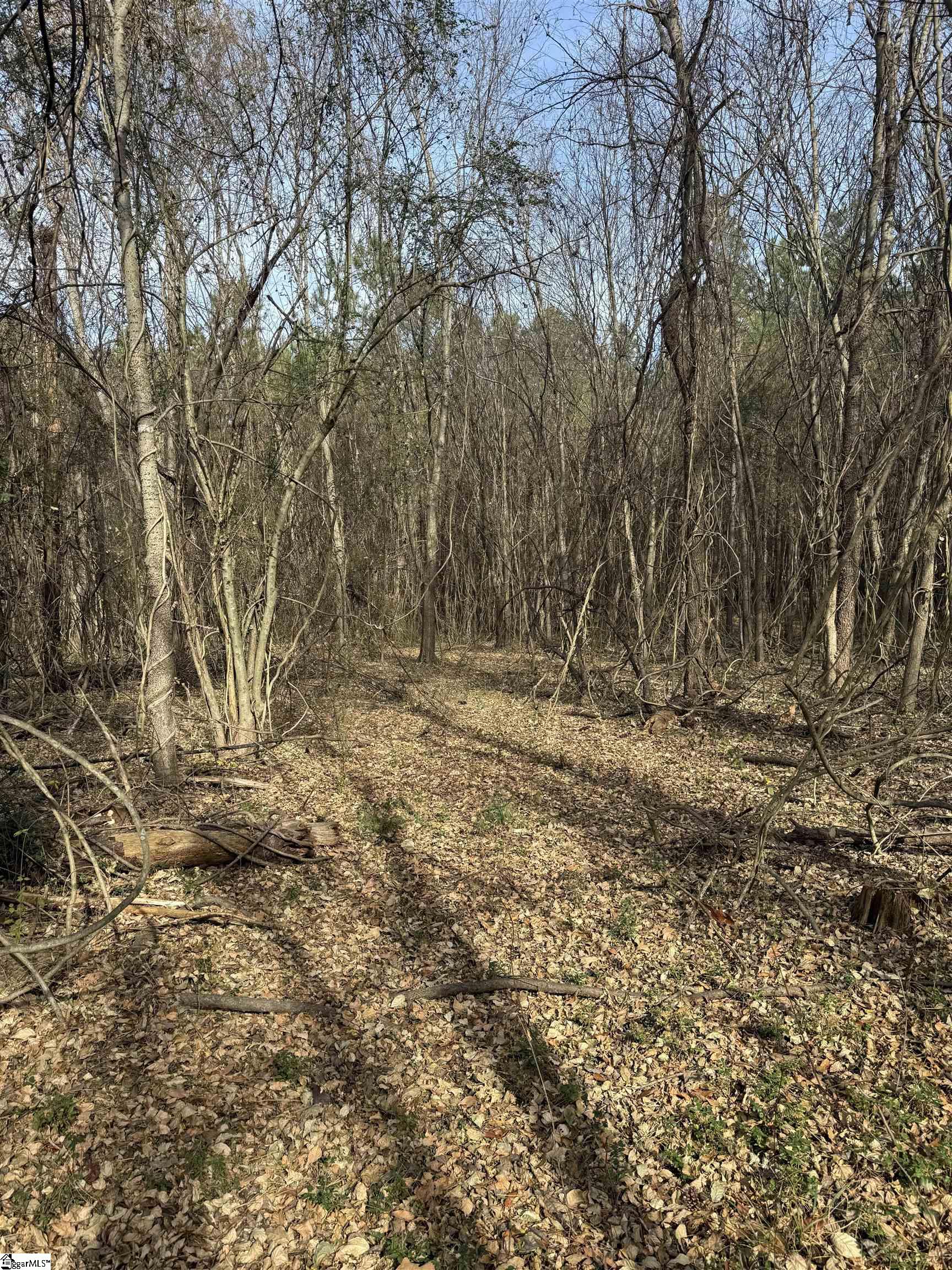 6776 Columbia Highway Saluda, SC 29138 - Photo 3 of 7