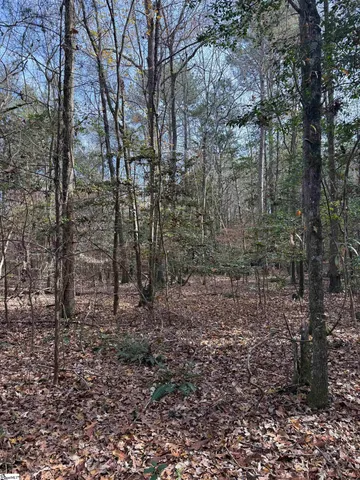 $133,950 | 6776 Columbia Highway, Saluda, SC 29138