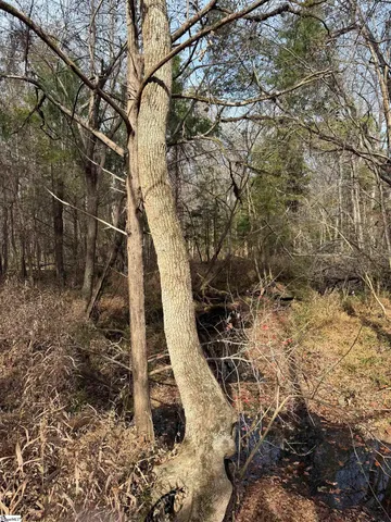 $133,950 | 6776 Columbia Highway, Saluda, SC 29138