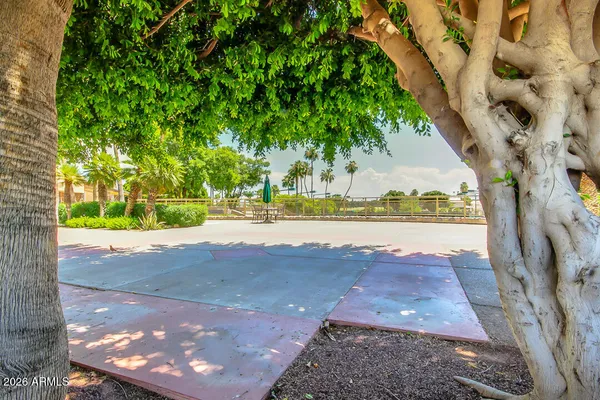 a view of yard with tree in the background