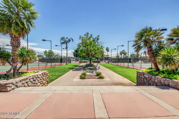 a view of garden with palm trees