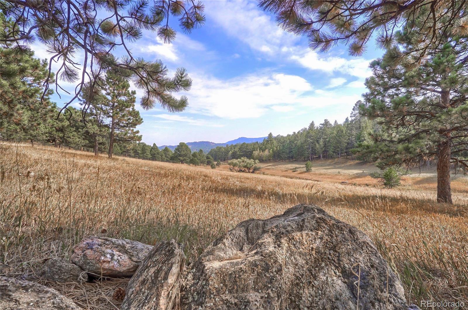 31216 Tanoa Road Evergreen, CO 80439 - Photo 13 of 40 Gallery Image 13