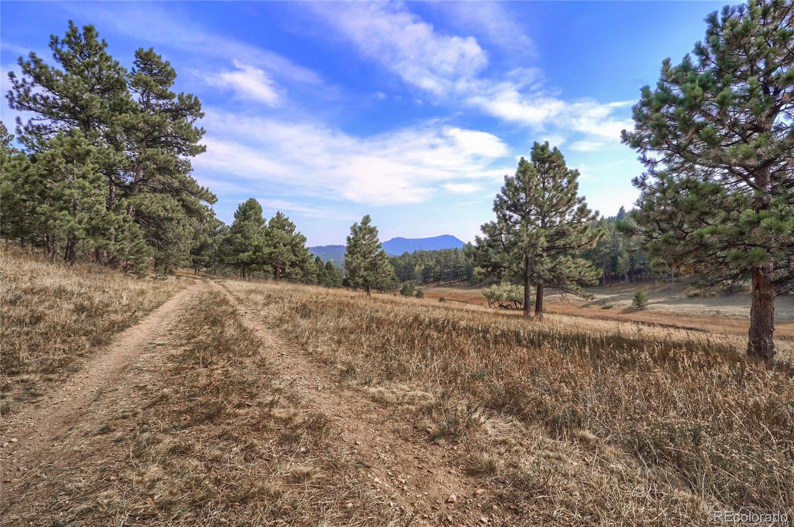31216 Tanoa Road Evergreen, CO 80439 - Photo 7 of 40 Gallery Image 7
