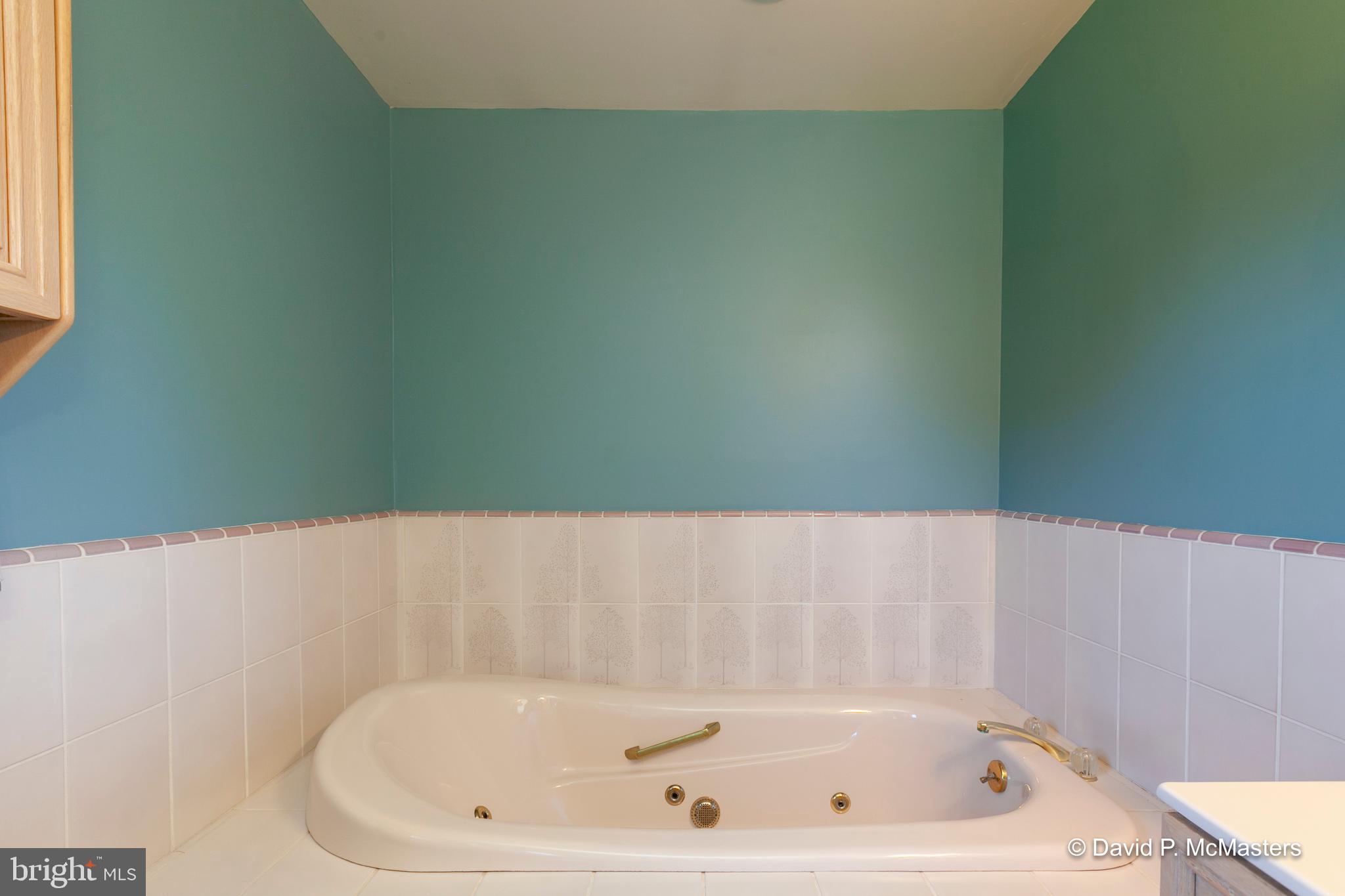 393 Lone Oak Road Ranson, WV 25438 - Photo 43 of 101