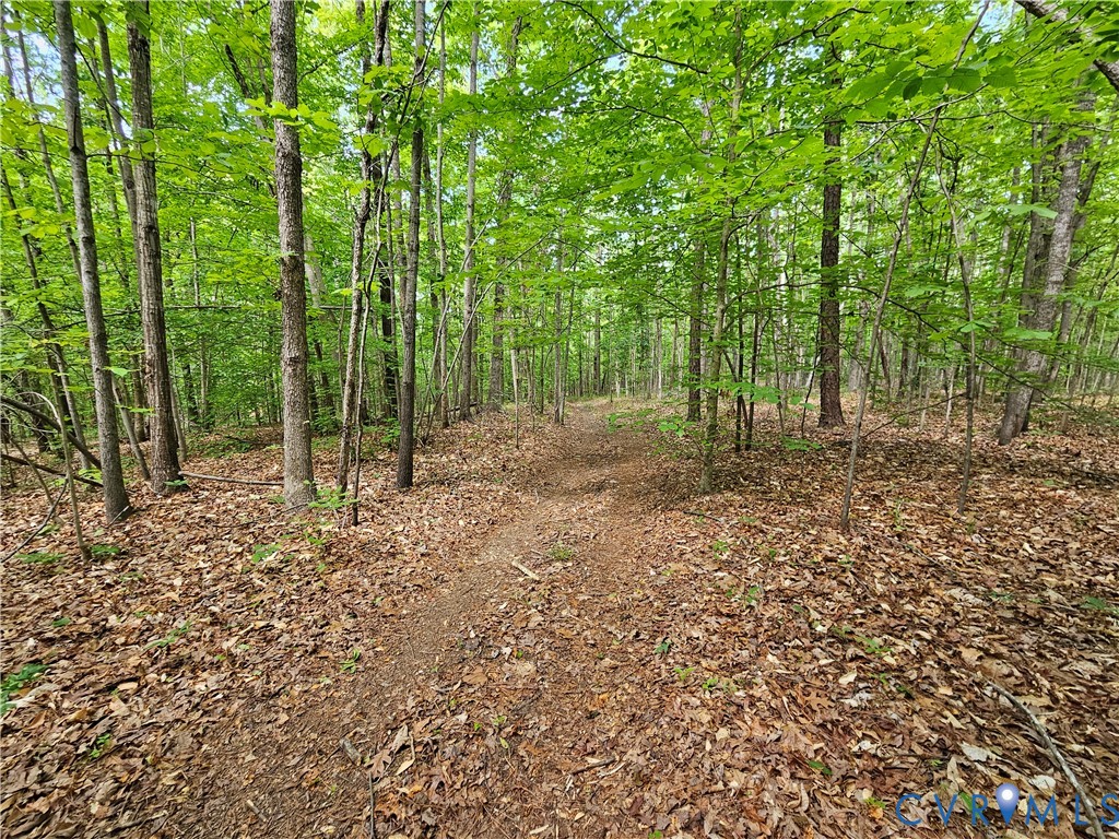 981 Scotts Bottom Road Dillwyn, VA 23936 - Photo 68 of 73 Gallery Image 68