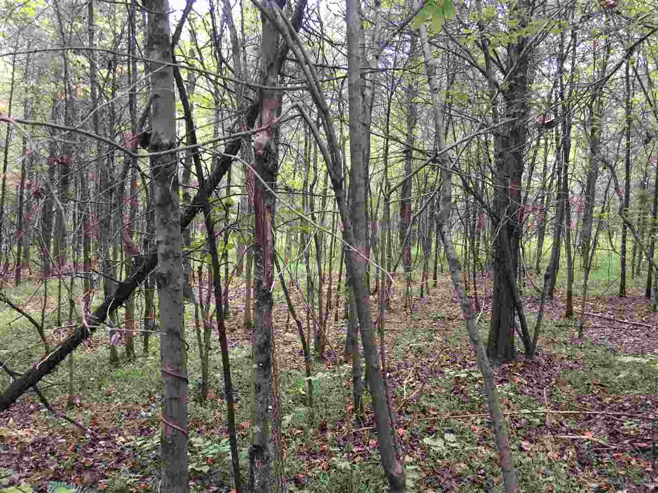 0 Rochester Road Morgantown, KY 42261 - Photo 19 of 22 Gallery Image 19
