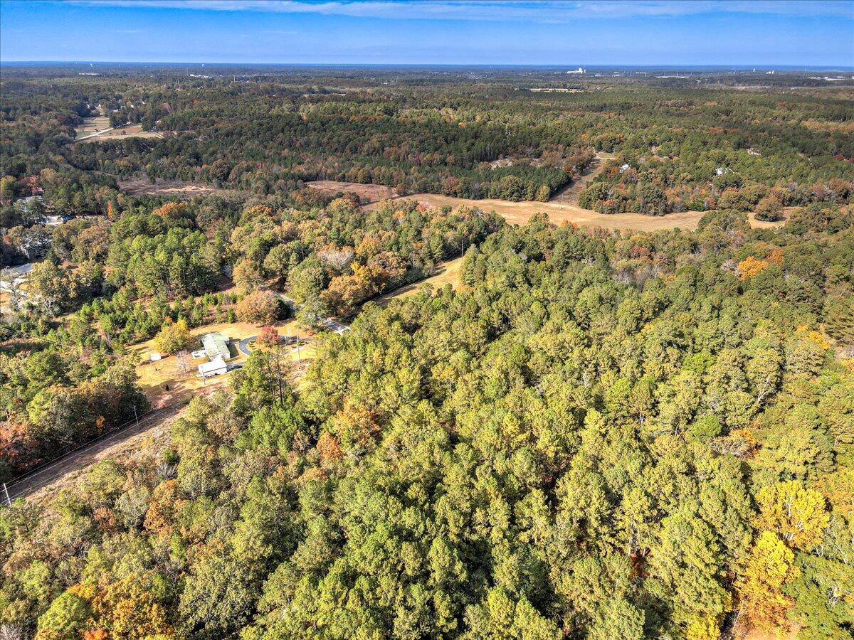 0 Banks Mill Road Southeast Aiken, SC 29803 - Photo 11 of 13