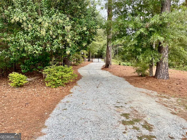 a view of road and trees
