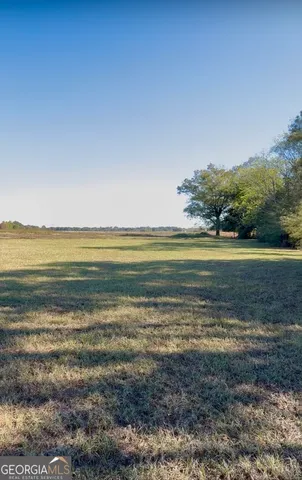a view of a forest with trees in the background