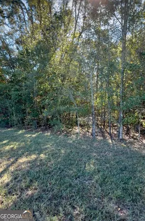 a view of road and trees