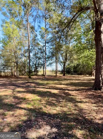 a view of a yard with plants and trees